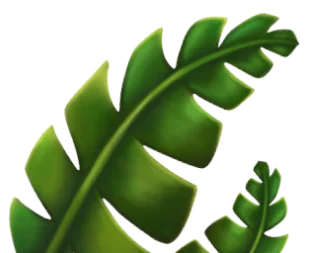 footer image