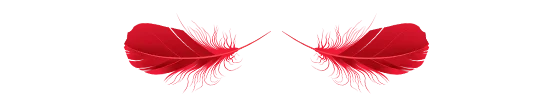 demo img