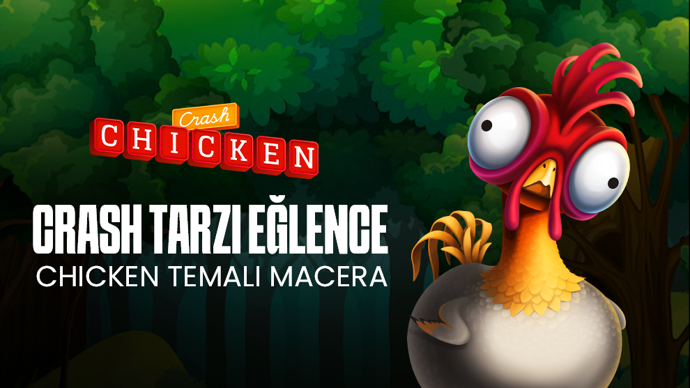 CHICKEN CRASH – image