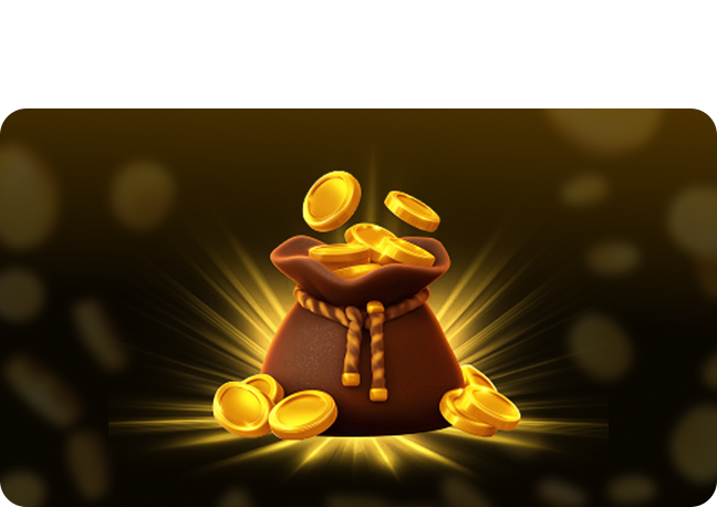 About The Promo Tool